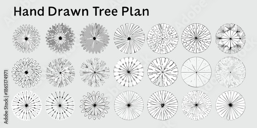 Hand drawn tree canopy plans showing variations in foliage density and shape