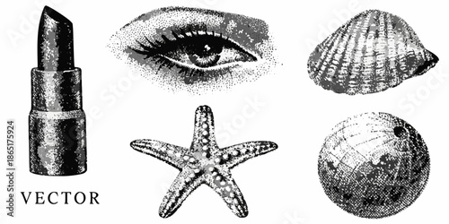 An artistic composition featuring cosmetics an eye and marine elements