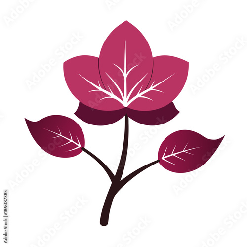 Tableau sur toile cercis canadensis eastern redbud silhouette flower