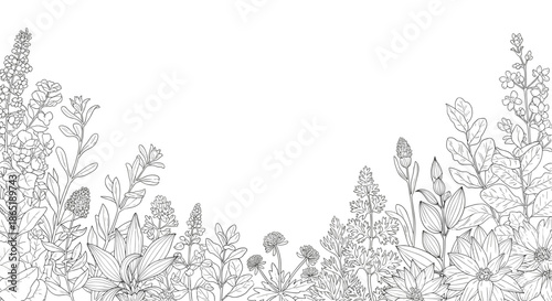 Detailed black and white line drawing of various wild flowers and botanical herbs at the bottom with plenty of copy space for text.