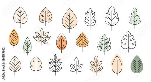 Artistic collection of various leaf outlines with soft pastel color overlays including tropical and forest tree species in a modern style.