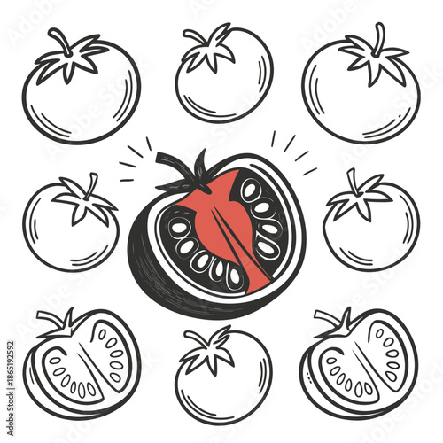 A collection of hand drawn tomatoes in a circular arrangement with one cut open in red silhouette