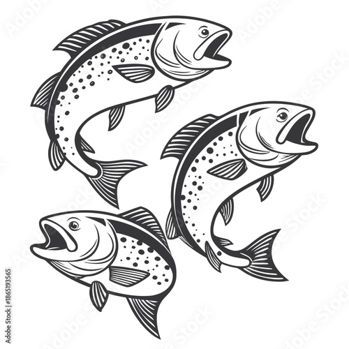 Three leaping trout are beautifully rendered in a vintage style showcasing detailed scales and fins silhouette