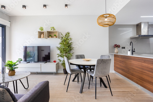 Stylish open living and dining area with kitchen and minimalist natural interior decor