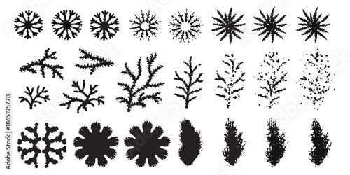 A collection of black and white illustrations depicting various plant and floral forms