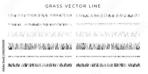 Detailed vector illustration of grass blades in varying lengths and arrangements