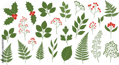Large collection of green leaves and red berries botanical elements set in flat vector style for Christmas and winter design