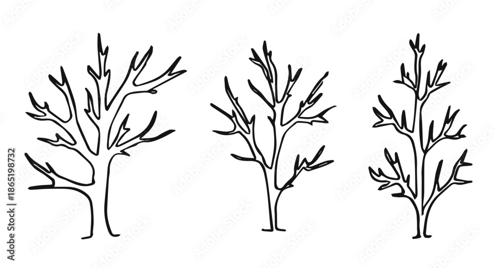 Obraz premium trees with dry branches linear silhouette