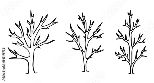 trees with dry branches linear silhouette