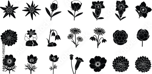 Vector illustration set of alpine flower icons featuring edelweiss gentian and wildflowers in black silhouette style for botanical design