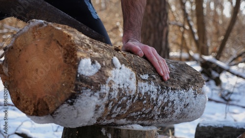 Wallpaper Mural Male hand sawing a log in sunny winter forest. Strong guy working with a saw in snowy woodland. Concept of strength, masculine, energy, and harmony with nature during cold season. Slow motion Torontodigital.ca