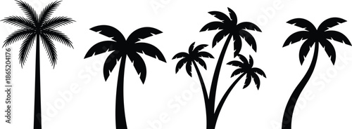 Black palm tree silhouettes isolated on white background, tropical summer vector collection for logos, prints, decor, branding, and graphic design