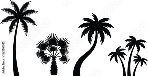 Black tropical palm tree silhouettes collection isolated on white background, exotic nature elements for summer design, travel branding, and decoration