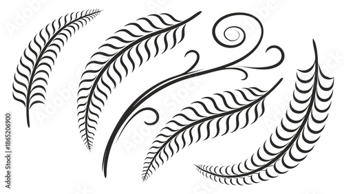 Elegant black and white feather designs with swirling lines and delicate curves a striking silhouette