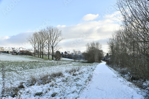 Slika na platnu Ravel sous la neige en pleine nature à Écaussinnes d'Enghien (Soignies)