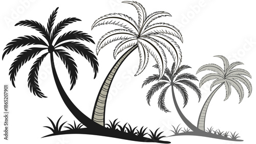 A tropical scene featuring several palm trees with contrasting shades and a striking silhouette high quality