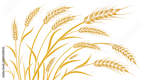 Golden wheat stalks gracefully bending in the breeze presenting a captivating botanical illustration silhouette high quality