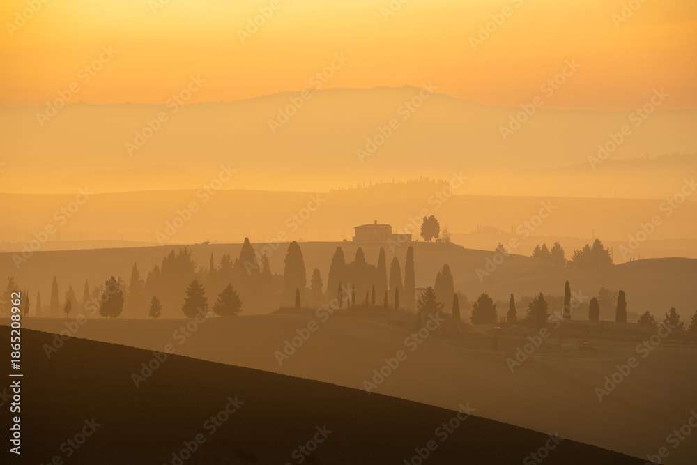Naklejka premium A golden sunrise over the rolling hills of Val d'Orcia near Pienza, featuring a distant farmhouse and cypress trees silhouetted against a thick layer of morning mist