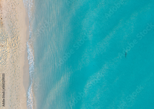 Shark swimming in shallow water in Miami Beach by drone