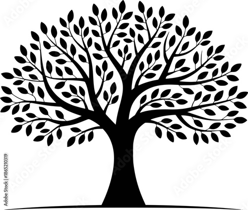 Silhouette of a large deciduous tree with spreading branches and numerous oval leaves against a white