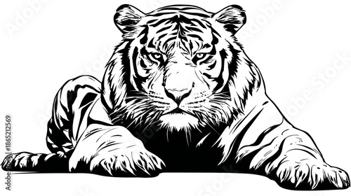 Powerful Black and White Tiger Illustration Resting. Majestic Wild Cat Wildlife Artwork.