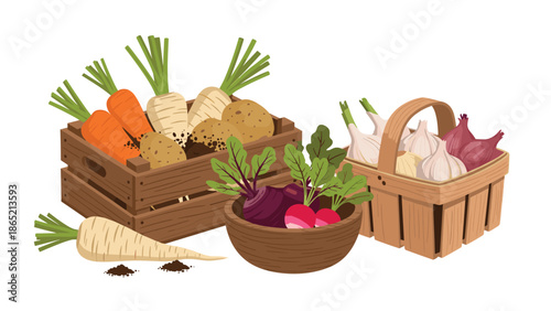 Bountiful collection of fresh, organic root vegetables, including carrots, potatoes, radishes, and garlic, displayed in rustic wooden crates and baskets.
