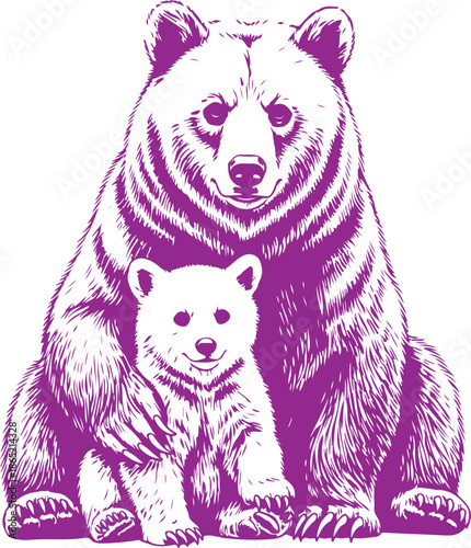 Mother bear with cub vector illustrations