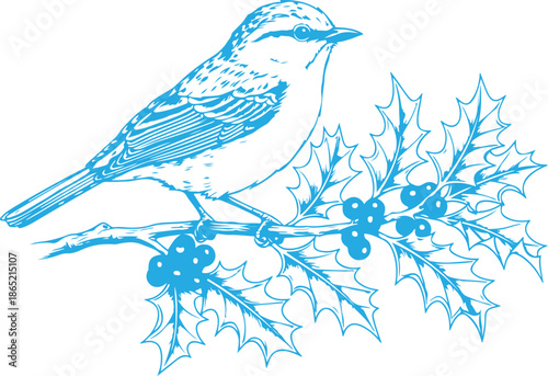 Blue bird on holly branch vector illustrations