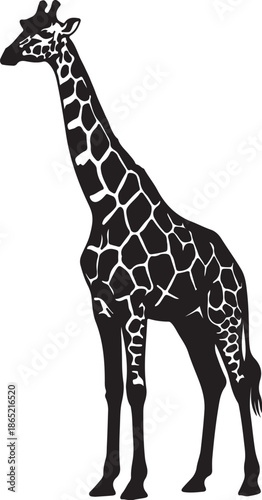 Black and white silhouette of a giraffe with spotted pattern standing on all fours also transparent background
