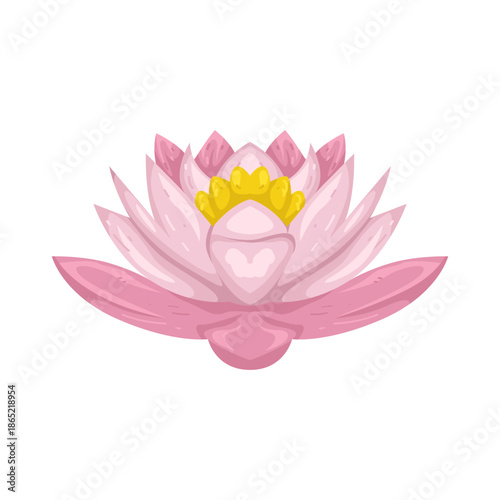 Illustration of Pink Lotus Flower 