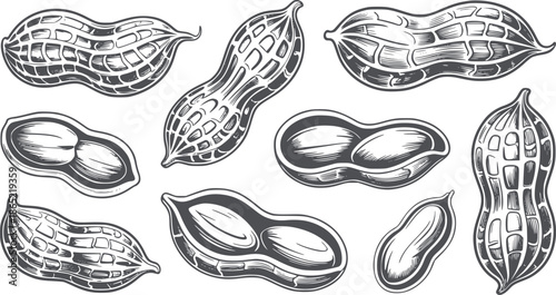Detailed black and peanuts in shells and shelled variations