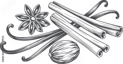 Detailed monochrome showcasing star anise flower cinnamon sticks and nutmeg