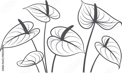 Seven anthurium leaves with stems in black and line