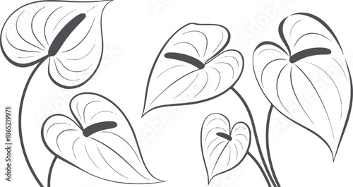 Six black and heart shaped tropical leaves in outline style editable leaf