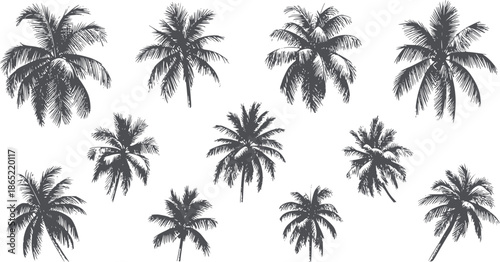Ten black palm tree silhouettes in various shapes