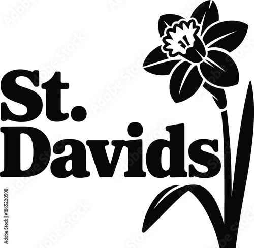 St. davids flower logo
