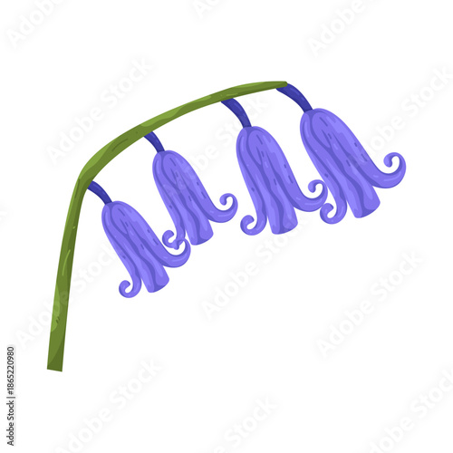 Illustration of Bluebell Flowers  