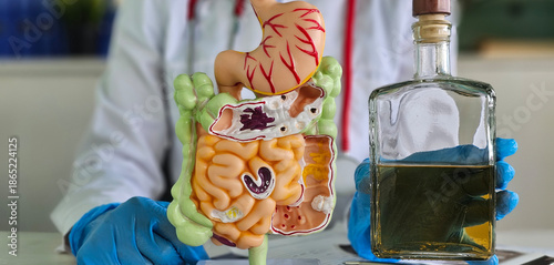 Photos Doctor with model of intestine anatomy with stomach and alcohol