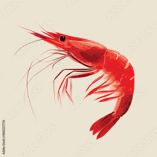  Create a shrimp on vector illustration