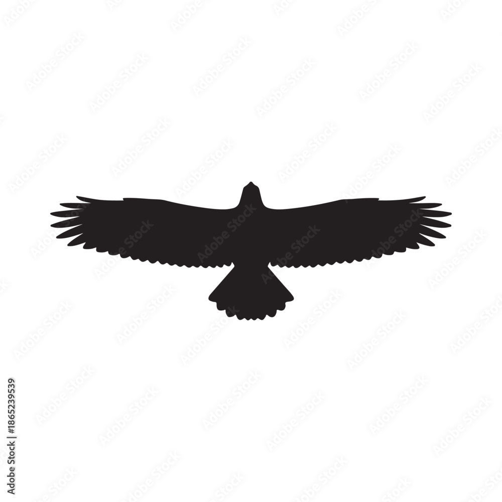Fototapeta premium flying eagle silhouette with spread wings isolated silhouette silhouette vector 