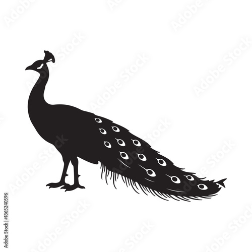 peacock silhouette standing wildlife illustration silhouette silhouette vector