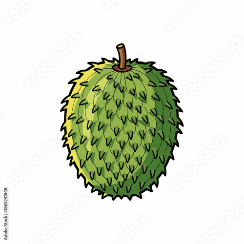 Soursop fruit, green tropical fruit with spiky skin. Fresh soursop fruit, also called graviola, provides unique taste, healthy benefits. Delicious soursop fruit for exotic food concepts,