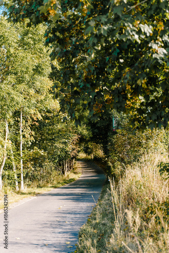 Village path through rural summer landscape panorama of the Góry Sowie (Owl Mountains), Poland, with green hills, meadows, forests, and clear blue sky in natural daylight.