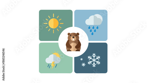 weather forecast icons with bear  sunny rain snow storm