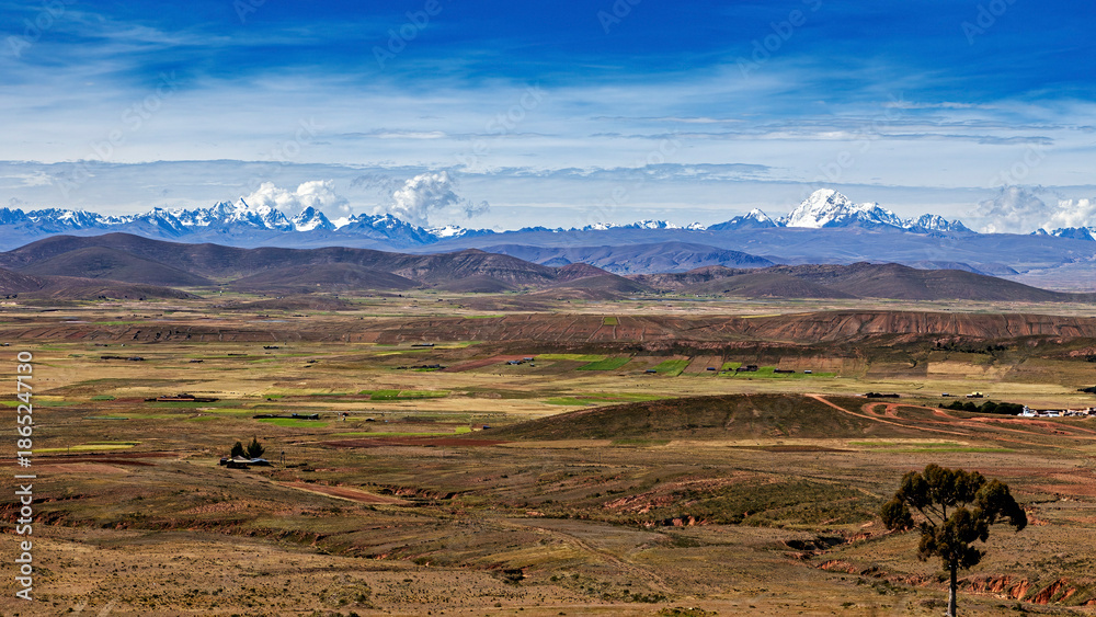 Fototapeta premium The Landscape of the Altiplano in Bolivia