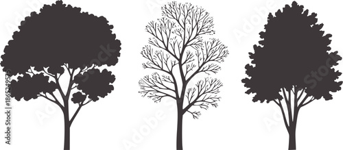 Three minimalist black tree silhouettes
