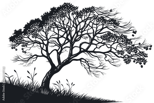 A detailed black and white illustration of a solitary tree with textured foliage and bare branches on a grassy slope isolated on white background