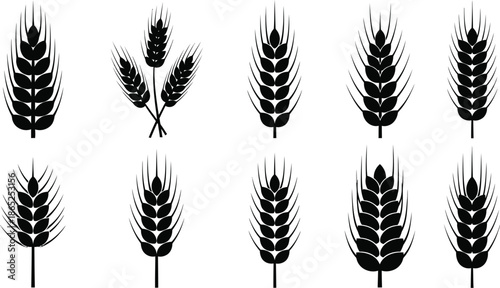 Collection of black wheat ears in various arrangements on transparent background silhouette