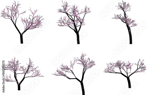 set of six bare trees with pink leaves on transparent background