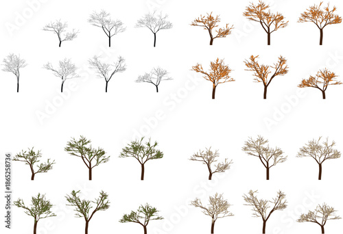 collection of trees with different foliage and branch styles on white